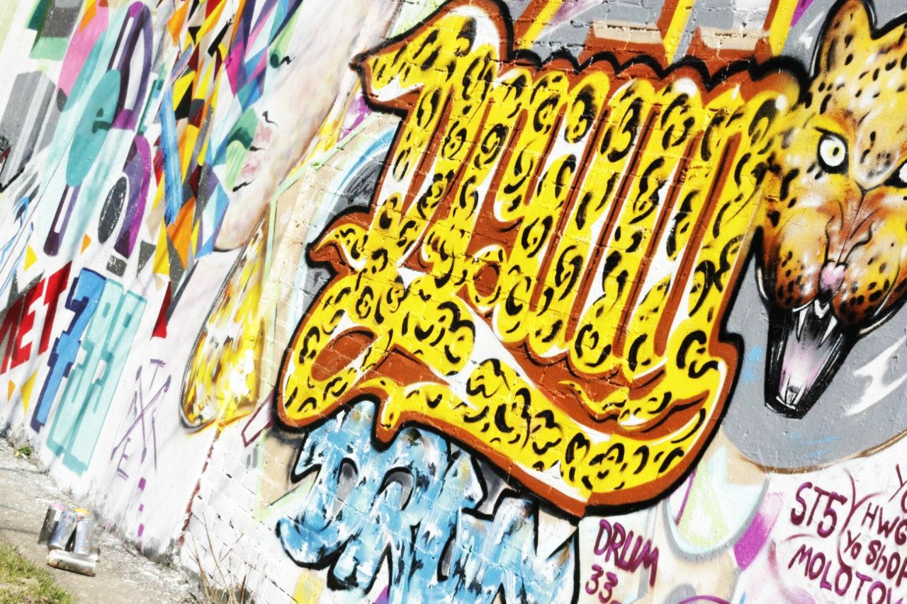 Graffiti Wall - Photo by Drum33 - drum, drum33, leopard (2013)