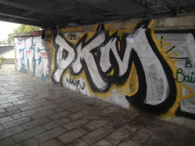 Graffiti Bombing - Photo by DrunKingMonkeys