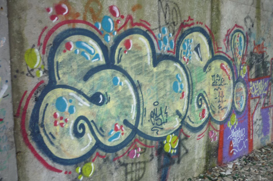 Graffiti Bombing - Photo by DukaL1s (2010)