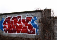 Photo #13466 by Ruos