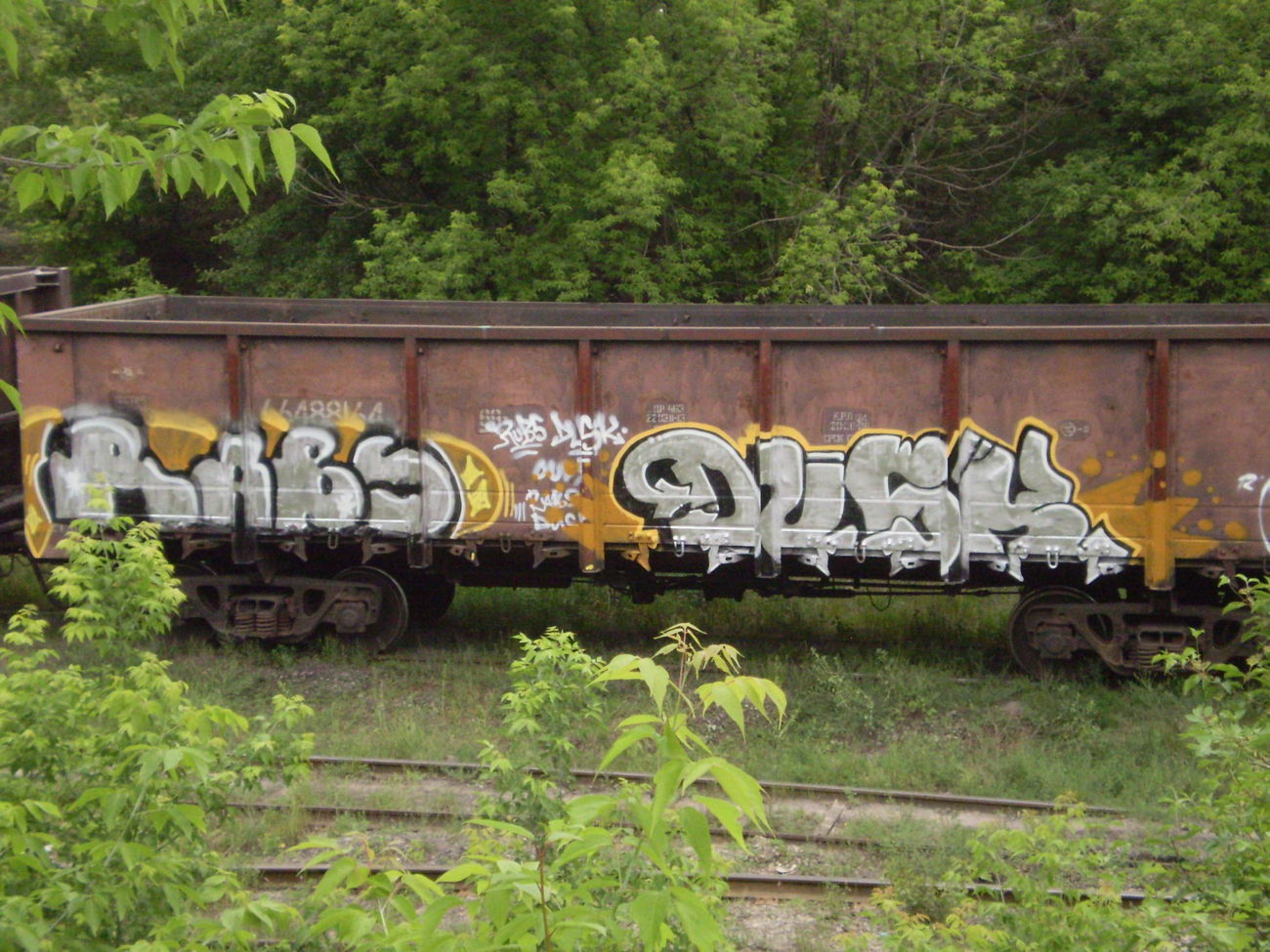 Graffiti Train - Photo by Dusk (2012)