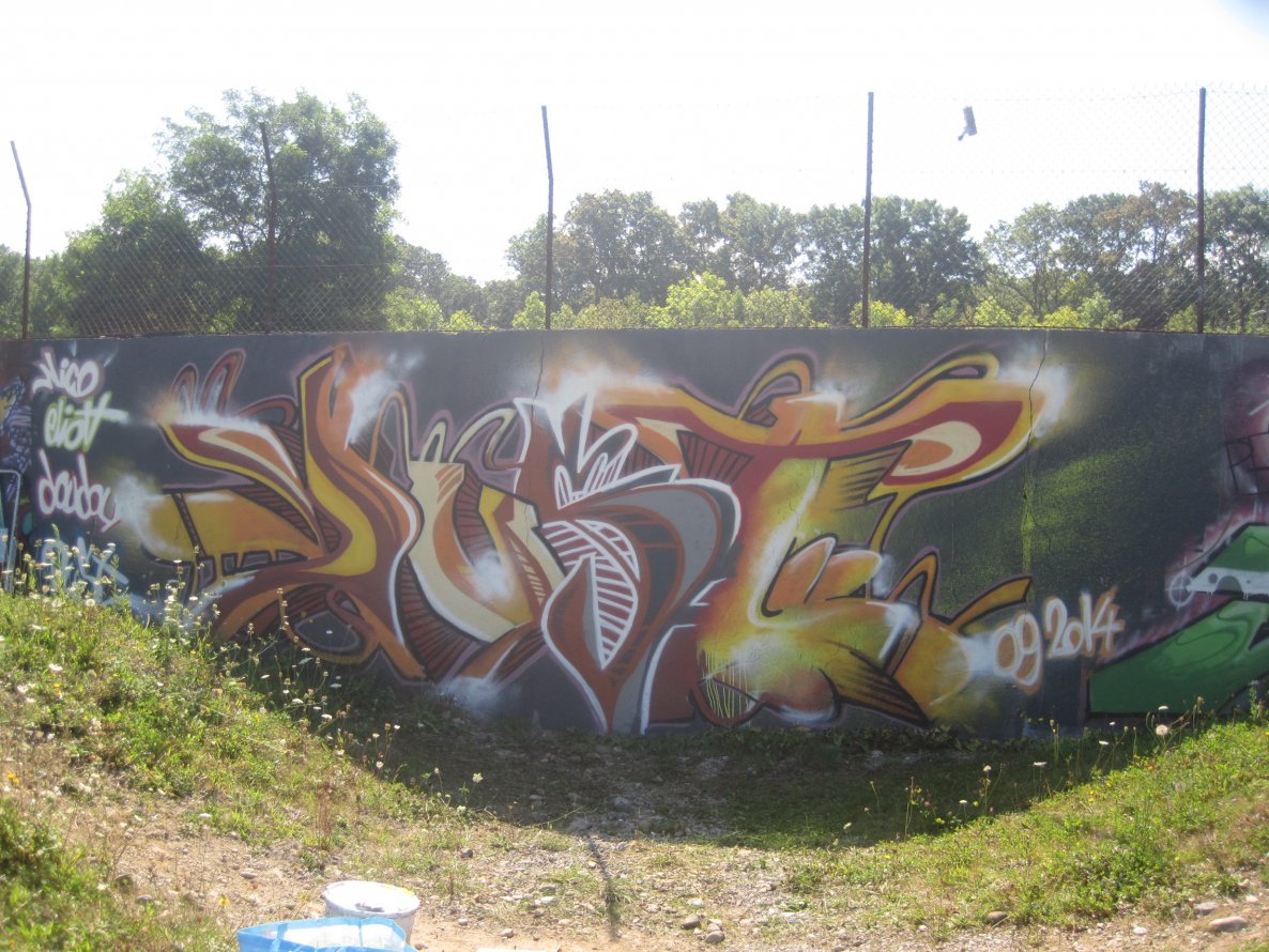 Graffiti Wall - Photo by Dust - graffiti, dust, thonon (2014)