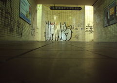 Photo #11060 by honigfresser