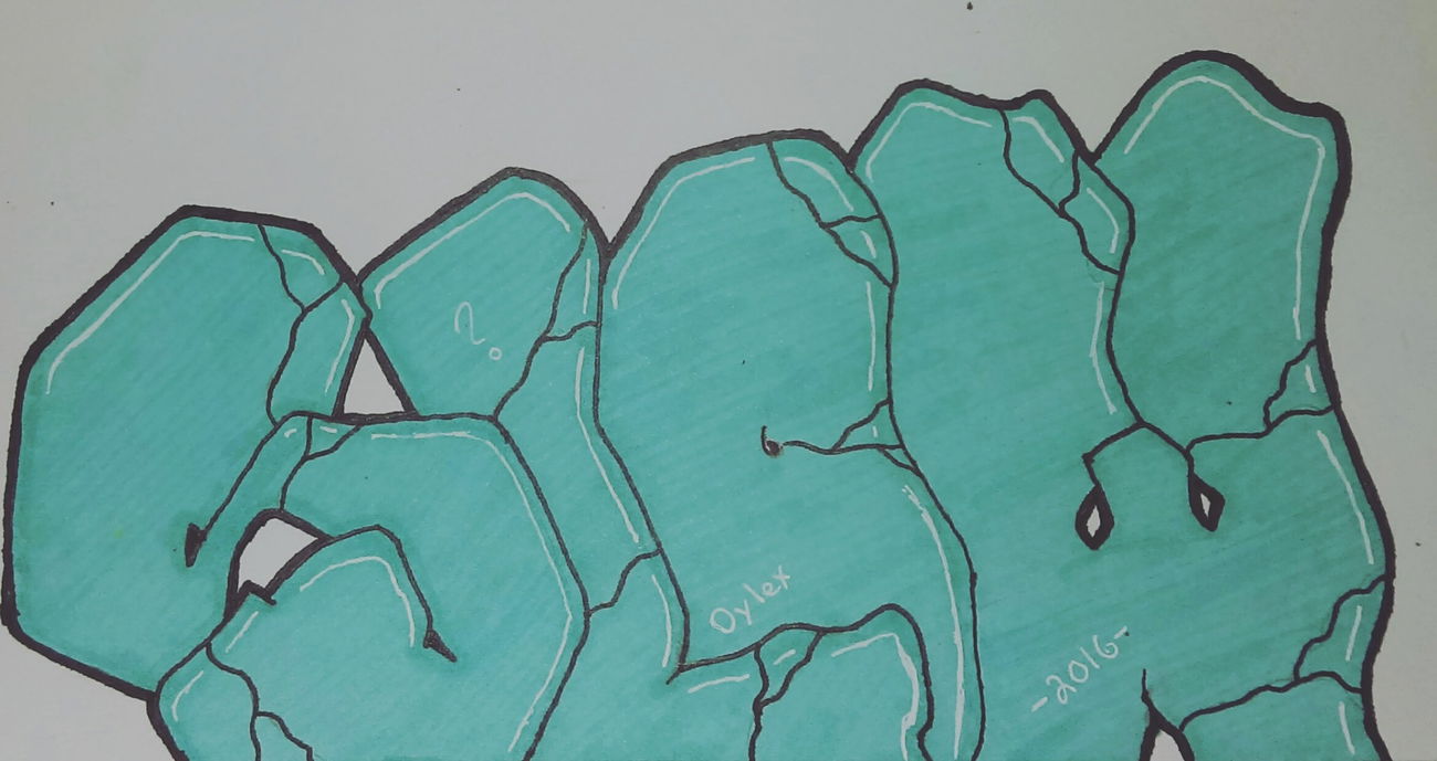 Graffiti Artwork in United States - Photo by Dylex - Dylex, slow, graffiti (2016)