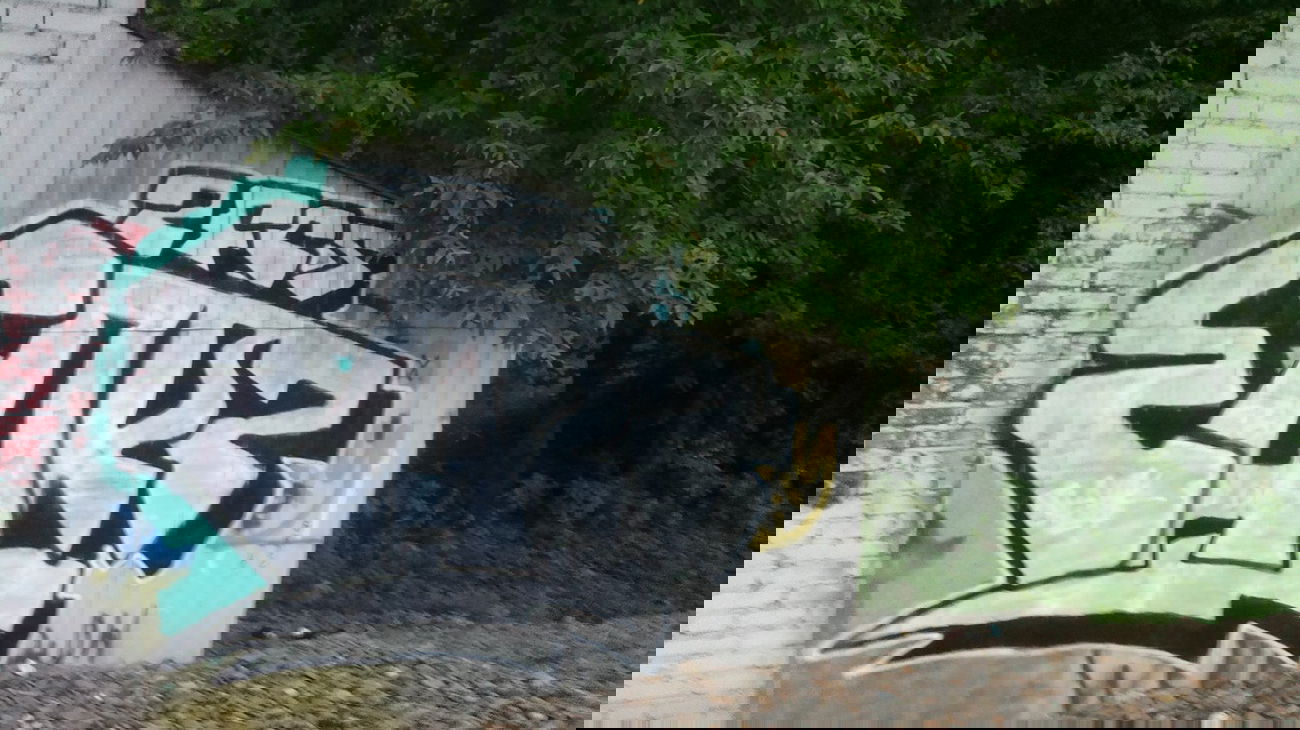 Graffiti Bombing in Moscow - Photo by EARZ - earz, Moscow (2013)