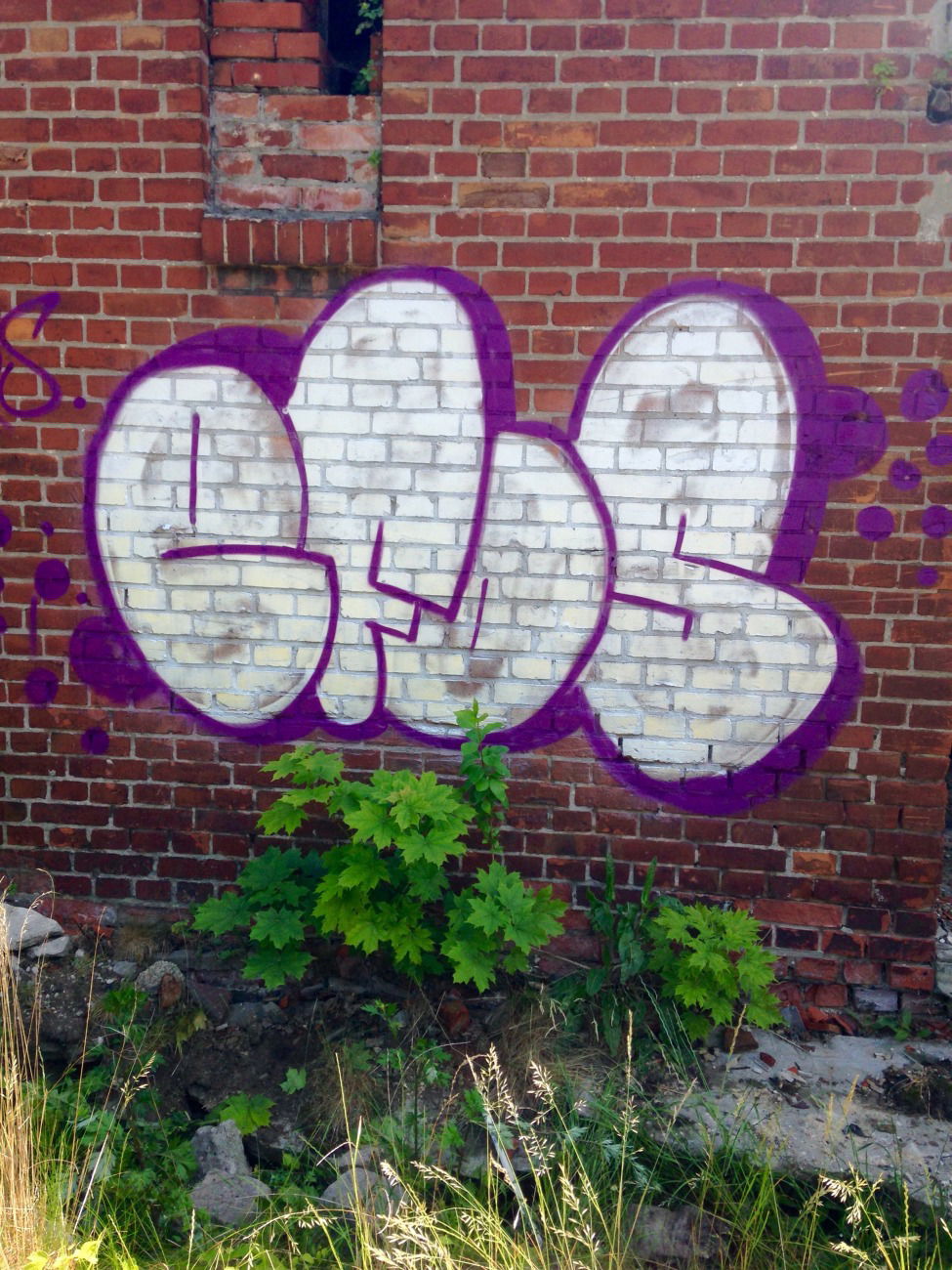 Graffiti Bombing - Photo by EFOS