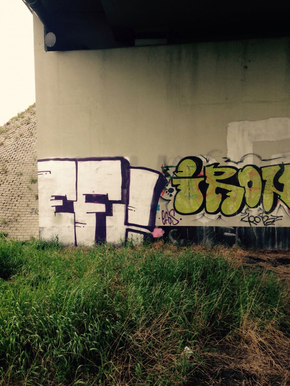 Graffiti Bombing - Photo by EFOS - EF!