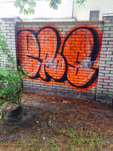 Graffiti Bombing - Photo by EFOS