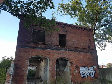 Graffiti Bombing - Photo by EFOS