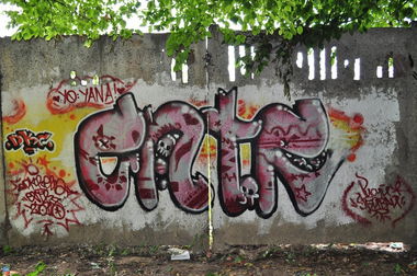 Graffiti Wall - Photo by EHTP - ????, DKC (2010)