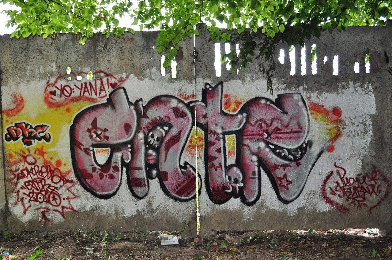 Graffiti Wall - Photo by EHTP - ????, DKC (2010)