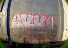 Photo #87280 by TLENOWY