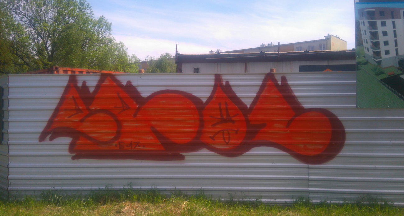 Graffiti Wall - Photo by ELECTROZ (2017)