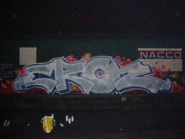 Graffiti Photo by ELECTROZ - FR8, POWER, freight (2010)