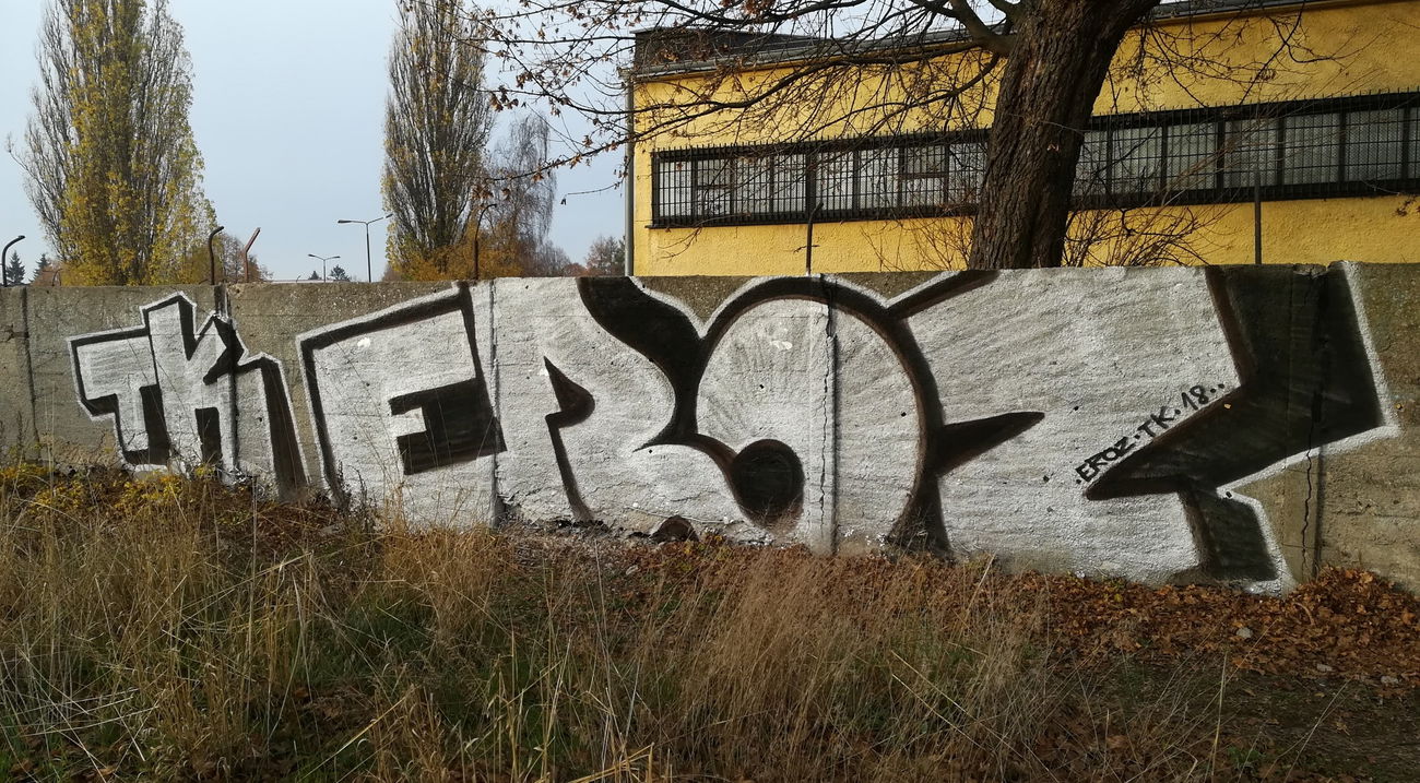 Graffiti Wall - Photo by ELECTROZ - Trainline (2018)