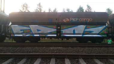 Graffiti Train - Photo by ELECTROZ (2016)