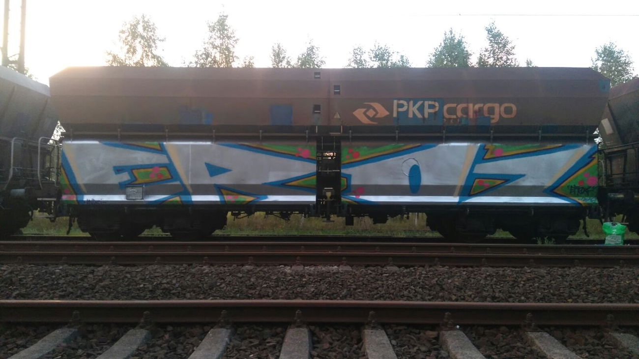 Graffiti Train - Photo by ELECTROZ (2016)