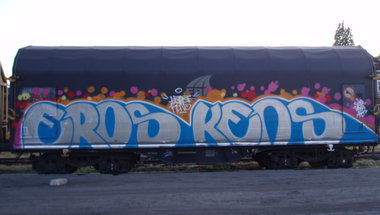 Graffiti Photo by ELECTROZ - freight, train, fr8 (2010)