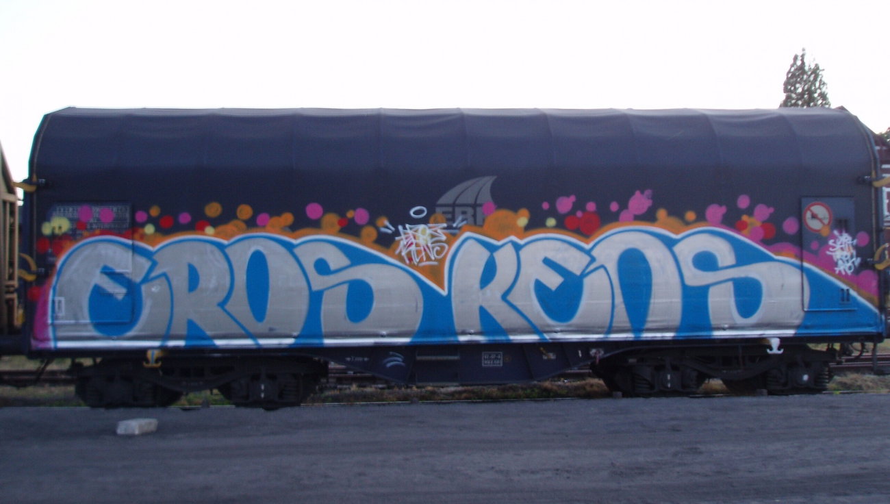 Graffiti Photo by ELECTROZ - freight, train, fr8 (2010)