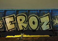 Graffiti Train - Photo by ELECTROZ - bombing, pkp, cargo (2021)