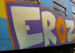 Graffiti Train - Photo by ELECTROZ - cross, bombing, en57 (2014)