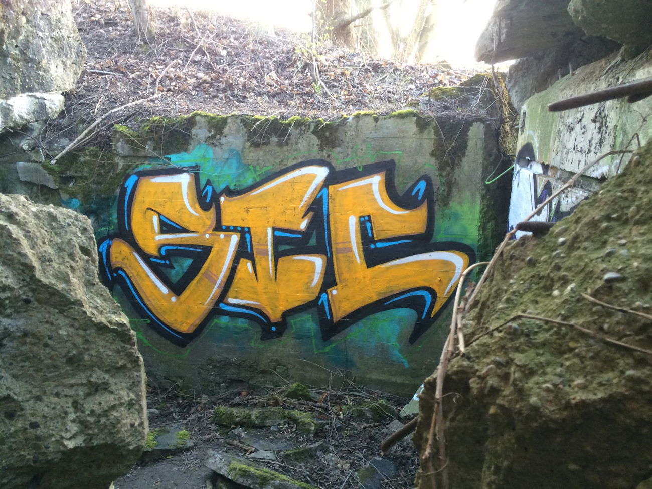 Graffiti Bombing - Photo by ENOD8 - Stc, str8 (2014)