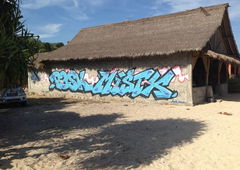 Photo #181063 by TheWallHunter