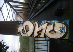 Photo #180445 by whonift