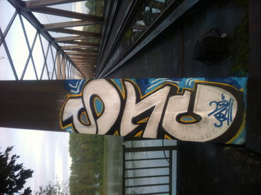 Graffiti Bombing - Photo by ENOD8 - Stc (2013)