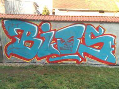 Graffiti Wall - Photo by ENOD8 - Bios (2015)