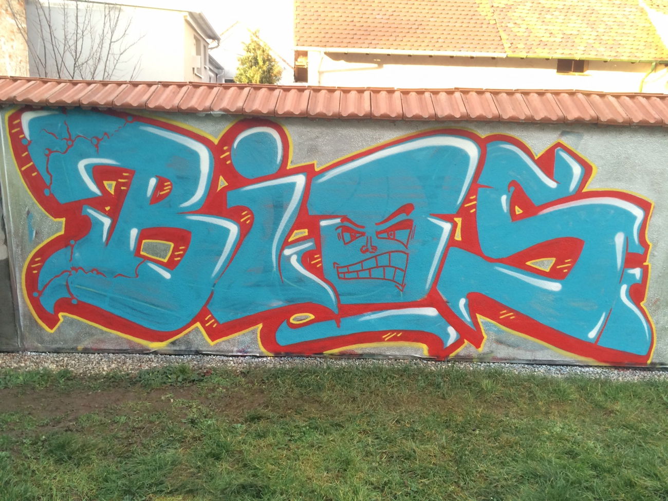 Graffiti Wall - Photo by ENOD8 - Bios (2015)