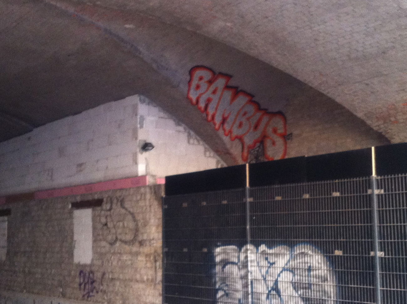 Graffiti Bombing - Photo by ENOD8 - BAMBUS (2012)