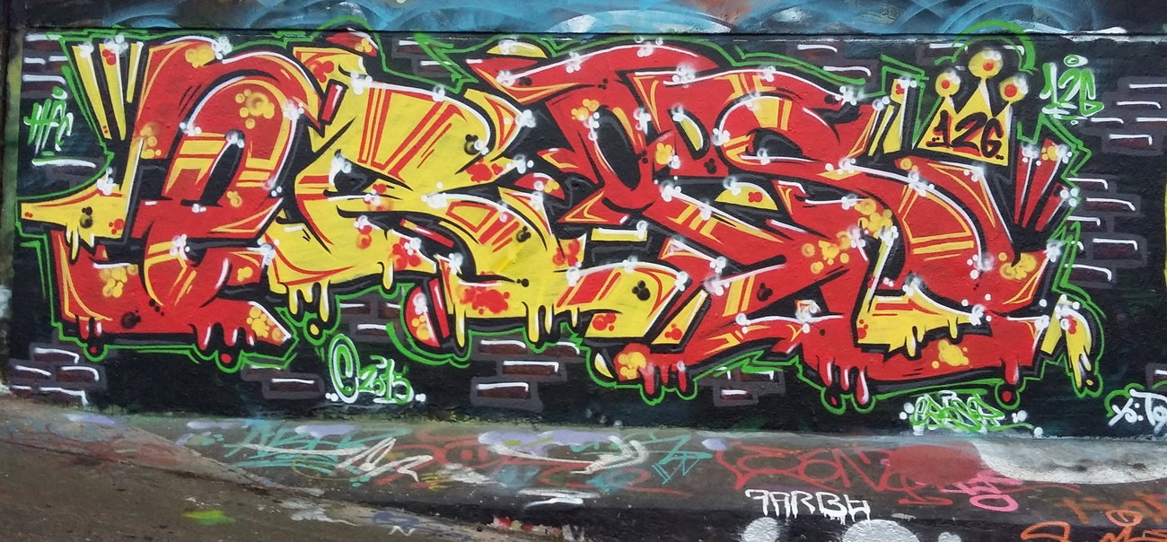 Graffiti Wall - Photo by ERAS43 - ERASER, HFC, 126 (2015)