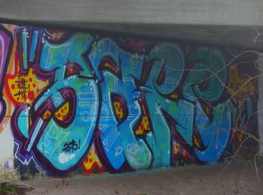 Graffiti Bombing in Saarpfalz-Kreis - Photo by ERAS43 - SARE (2015)