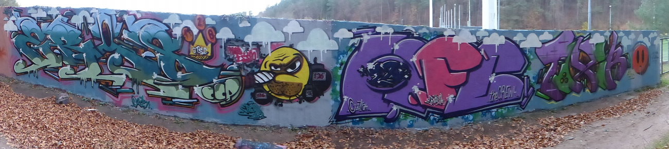 Graffiti Wall - Photo by ERAS43 - Smiley, WAS, ISSEN (2015)