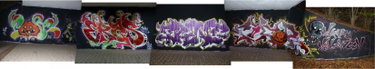 Graffiti Wall - Photo by ERAS43 - COSE41, ERAS43, SENF42 (2013)