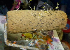 Graffiti Artwork in Homburg - Photo by ERAS43 - farbrolle, die, lebt (2015)