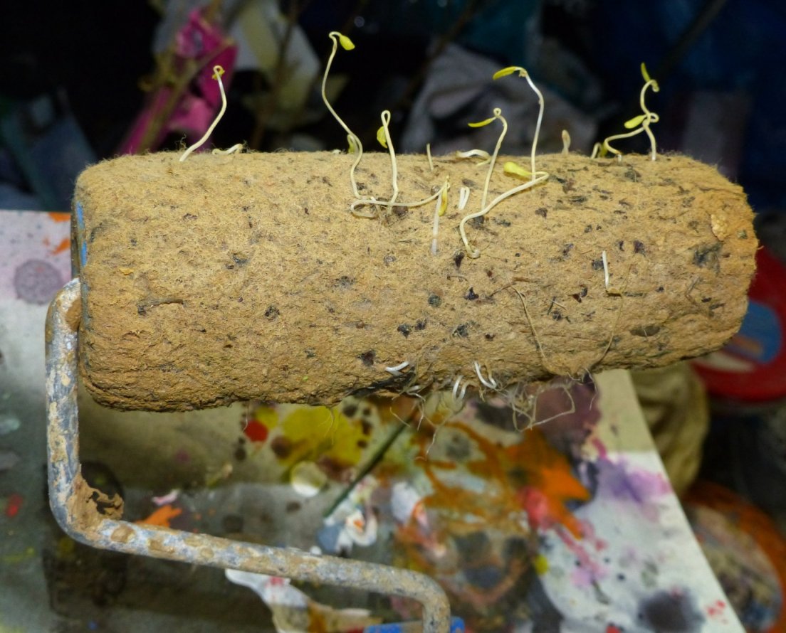 Graffiti Artwork in Homburg - Photo by ERAS43 - farbrolle, die, lebt (2015)