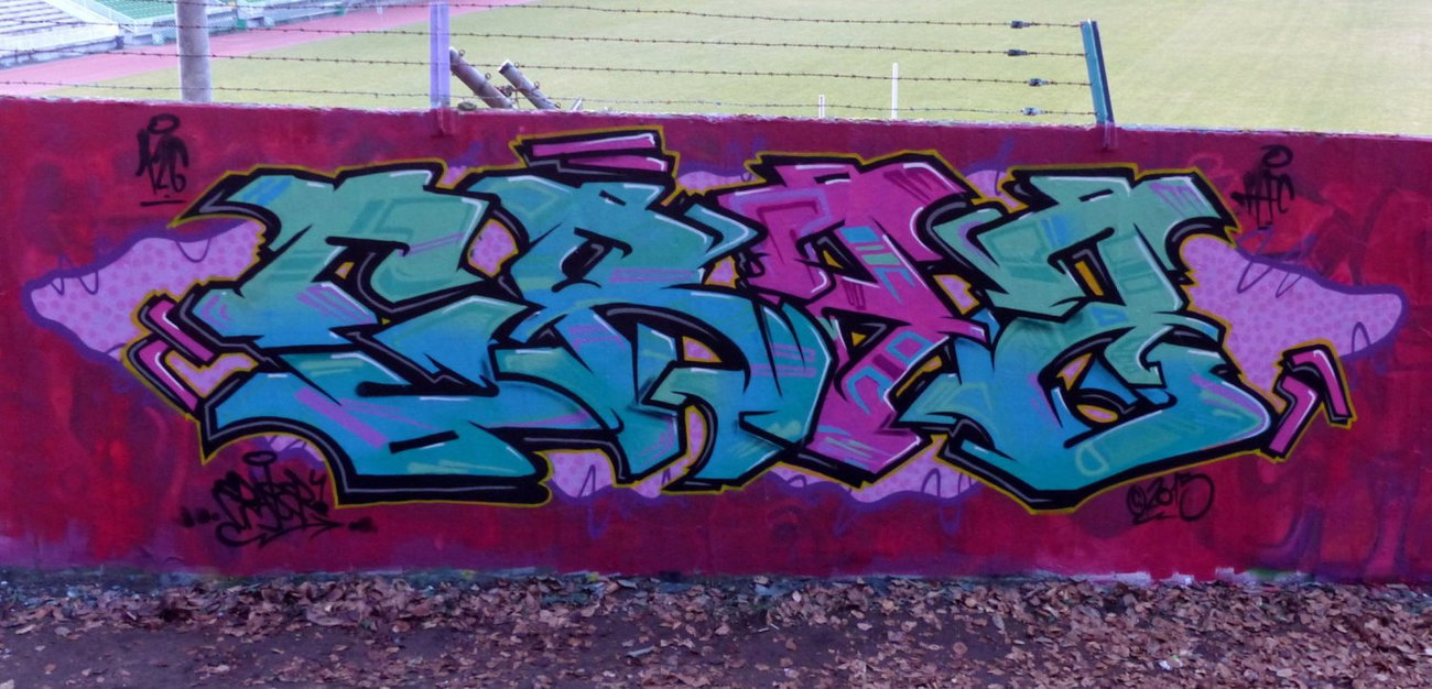 Graffiti Wall in Saarpfalz-Kreis - Photo by ERAS43 - ERASER, 43, HFC; (2015)