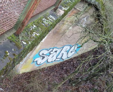 Graffiti Bombing - Photo by ERAS43 - SARE, OTSC (2015)