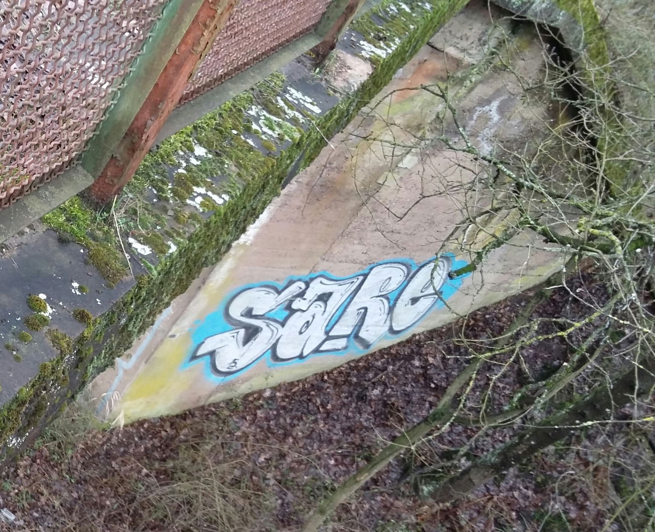 Graffiti Bombing - Photo by ERAS43 - SARE, OTSC (2015)