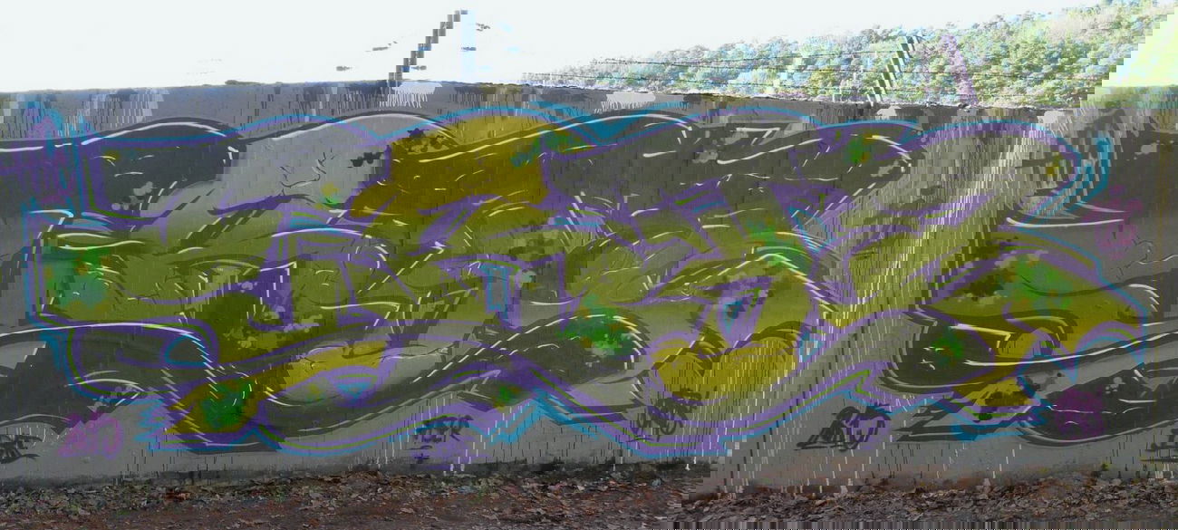 Graffiti Wall in Homburg - Photo by ERAS43 - ERASER, 43, HFC (2015)