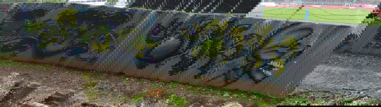 Graffiti Wall in Homburg - Photo by ERAS43 - ERASER, 43, TOXIK (2015)