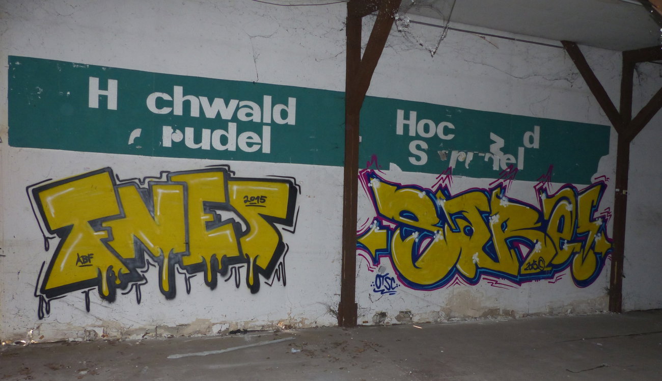 Graffiti Wall - Photo by ERAS43 - FNES, SARE, OTSC (2015)