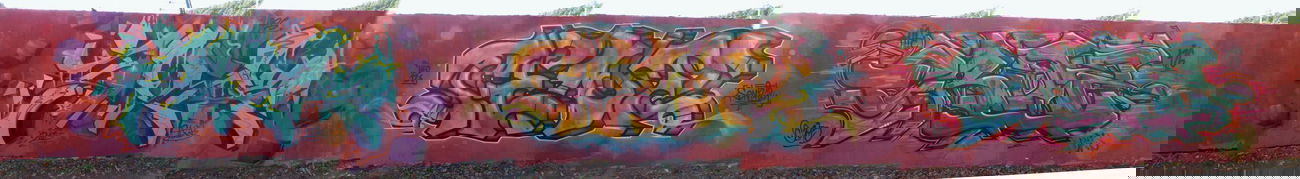 Graffiti Wall in Homburg - Photo by ERAS43 - TOXIK, SENF, 42 (2015)