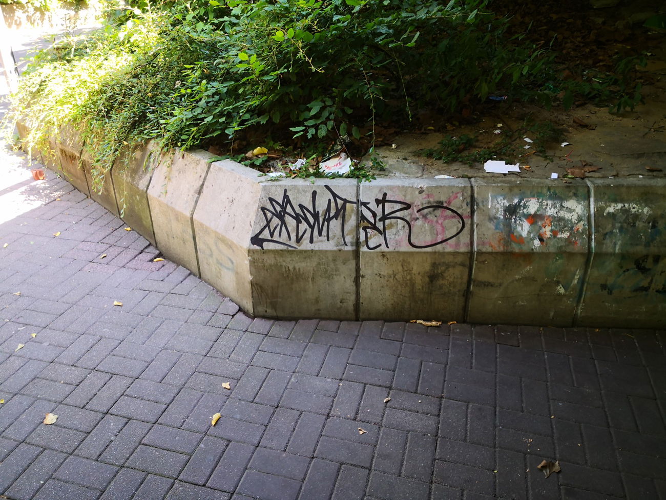 Graffiti Wall - Photo by EREMITER555 (2022)