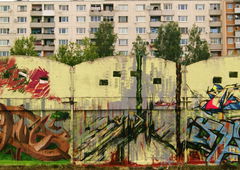 Photo #1870 by NupzerOne