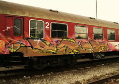 Photo #63476 by Belt