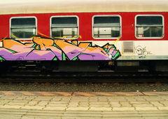 Photo #65072 by Belt