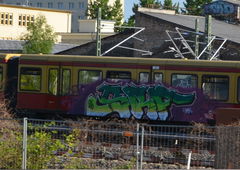 Photo #190722 by PeterPetersen